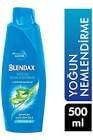 BLENDAX 500ML SAMP.ALEO VERA