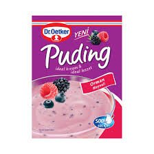 DR.OETKER PUDING ORMAN MEYVELI 81GR