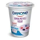 DANONE ORMAN MEYVELİ YOĞURT 400 G