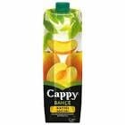 CAPPY KAYISI NK 1LT