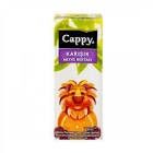CAPPY KARISIK TETRA 200ML