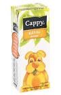 CAPPY KAYISI NEKTARI TETRA 200ML