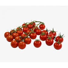 ÇERİ DOMATES (ELİKA)