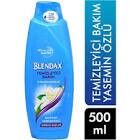 BLENDAX 500ML NORMAL SAC YASEMIN OZLU