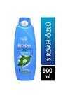 BLENDAX 500ML KIRILAN SAC ISIRGAN OZLU